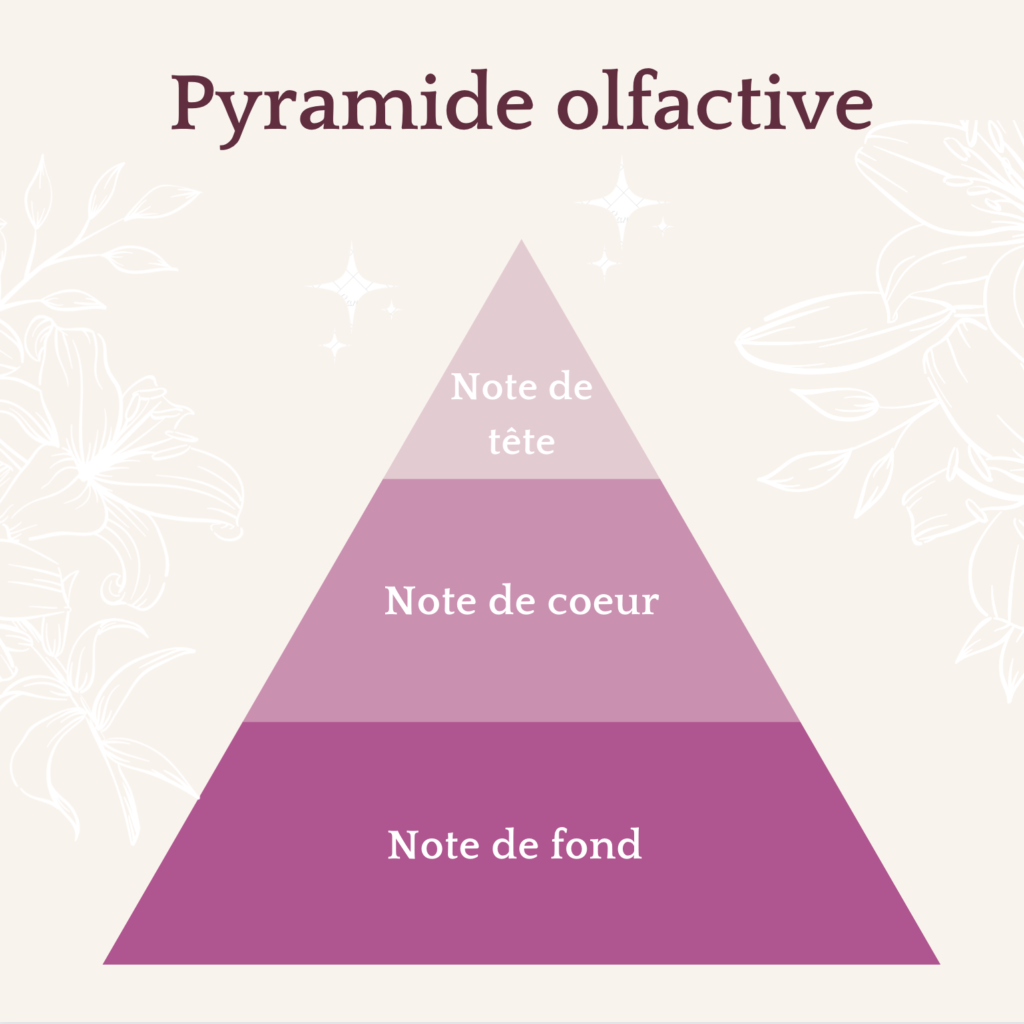 Schéma de la pyramide olfactive